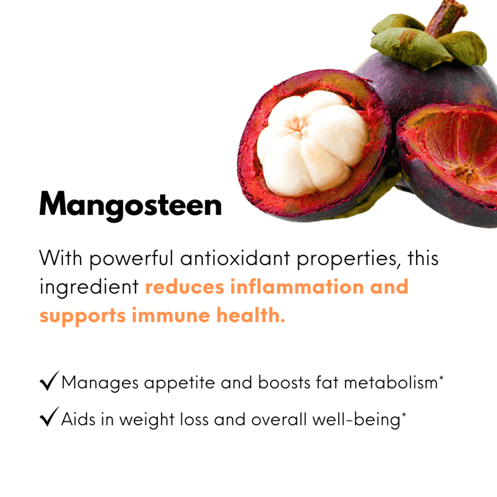 Mangosteen1.png